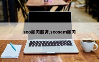 seo顾问服务,seosem顾问