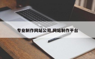 专业制作网站公司,网站制作平台