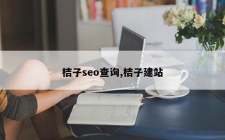 桔子seo查询,桔子建站