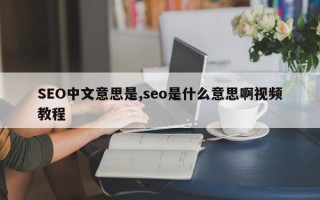 SEO中文意思是,seo是什么意思啊视频教程