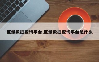 巨量数据查询平台,巨量数据查询平台是什么