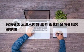 有域名怎么进入网站,国外免费网站域名服务器查询