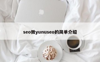 seo微yunuseo的简单介绍