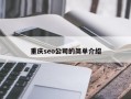 重庆seo公司的简单介绍