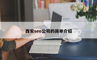 西安seo公司的简单介绍