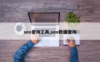 seo查询工具,seo数据查询