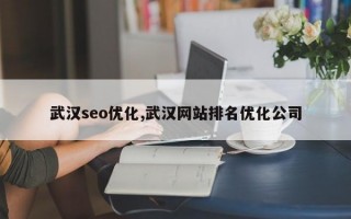 武汉seo优化,武汉网站排名优化公司