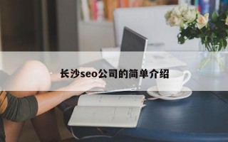 长沙seo公司的简单介绍