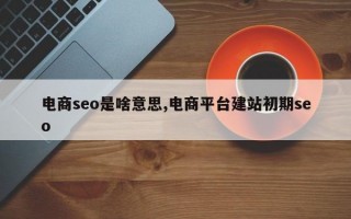 电商seo是啥意思,电商平台建站初期seo