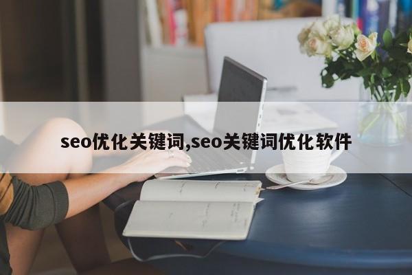 seo优化关键词,seo关键词优化软件-第1张图片