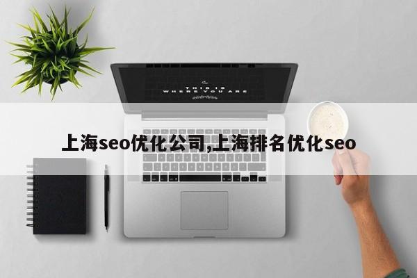 上海seo优化公司,上海排名优化seo-第1张图片