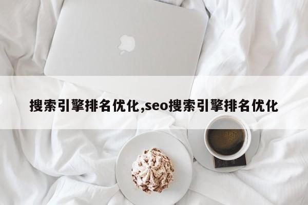 搜索引擎排名优化,seo搜索引擎排名优化-第1张图片