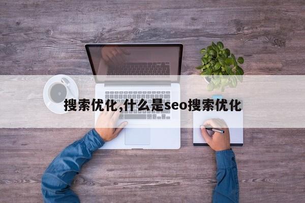 搜索优化,什么是seo搜索优化-第1张图片