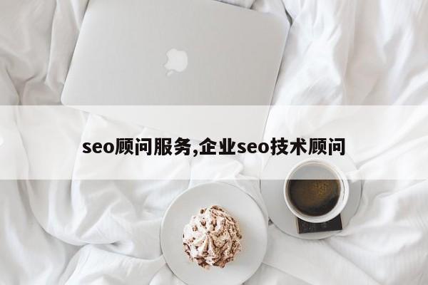 seo顾问服务,企业seo技术顾问-第1张图片