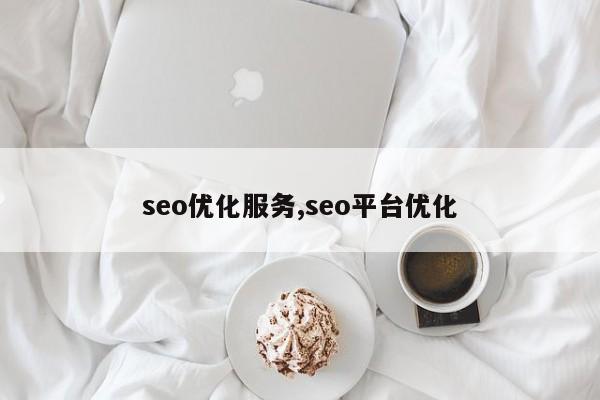 seo优化服务,seo平台优化-第1张图片