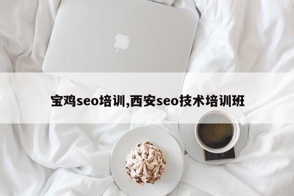 宝鸡seo培训,西安seo技术培训班-第1张图片