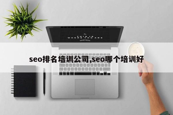 seo排名培训公司,seo哪个培训好-第1张图片