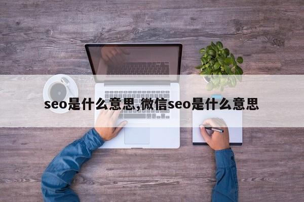 seo是什么意思,微信seo是什么意思-第1张图片