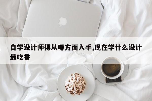 自学设计师得从哪方面入手,现在学什么设计最吃香-第1张图片