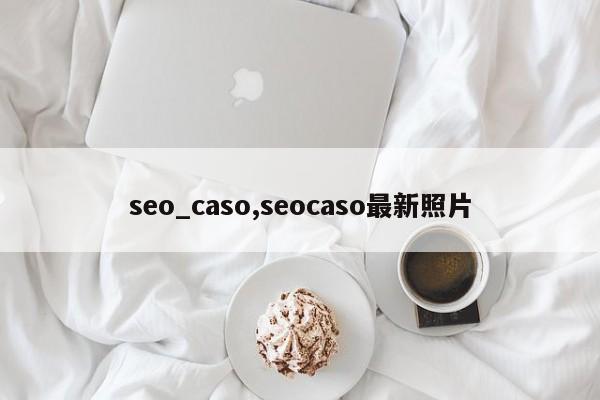 seo_caso,seocaso最新照片-第1张图片