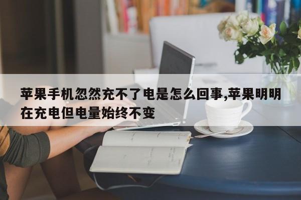 苹果手机忽然充不了电是怎么回事,苹果明明在充电但电量始终不变-第1张图片