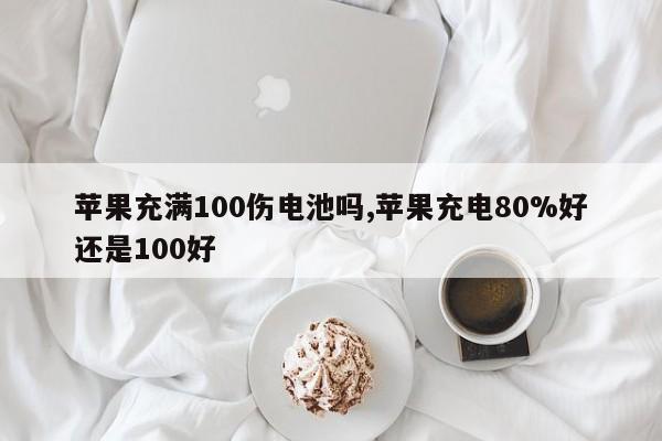 苹果充满100伤电池吗,苹果充电80%好还是100好-第1张图片