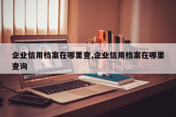 企业信用档案在哪里查,企业信用档案在哪里查询-第1张图片