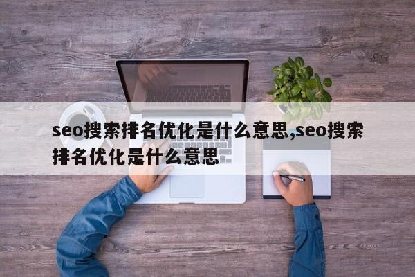 seo搜索排名优化是什么意思,seo搜索排名优化是什么意思-第1张图片