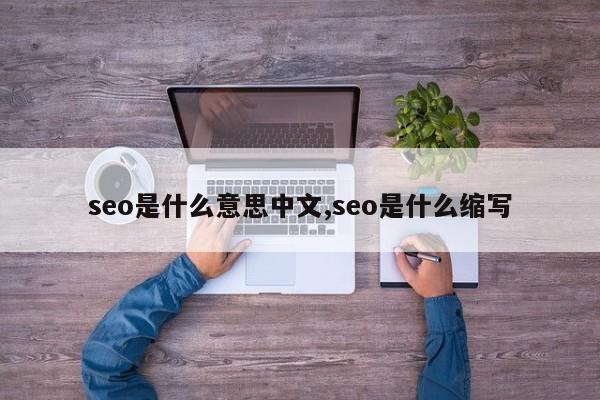 seo是什么意思中文,seo是什么缩写-第1张图片