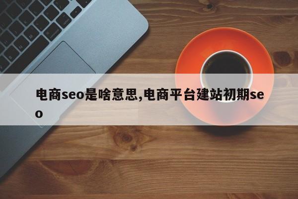 电商seo是啥意思,电商平台建站初期seo-第1张图片