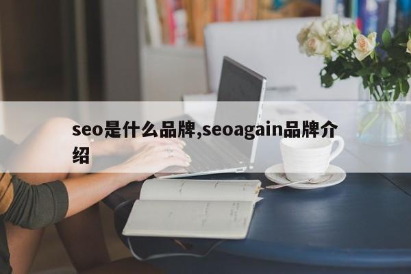 seo是什么品牌,seoagain品牌介绍-第1张图片