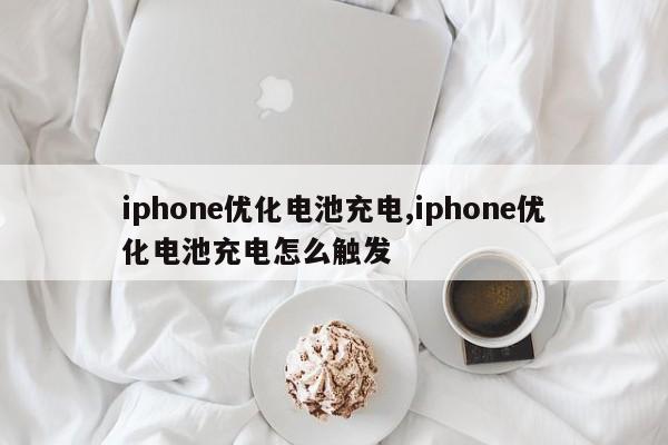 iphone优化电池充电,iphone优化电池充电怎么触发-第1张图片