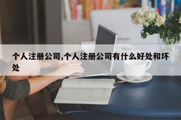 个人注册公司,个人注册公司有什么好处和坏处-第1张图片