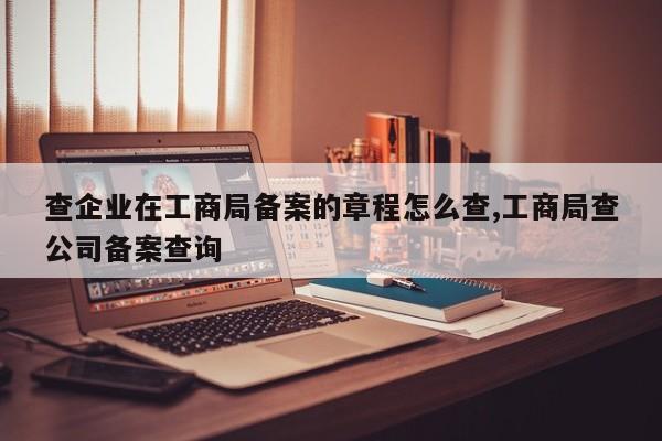 查企业在工商局备案的章程怎么查,工商局查公司备案查询-第1张图片