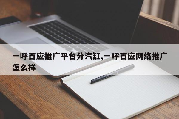 一呼百应推广平台分汽缸,一呼百应网络推广怎么样-第1张图片