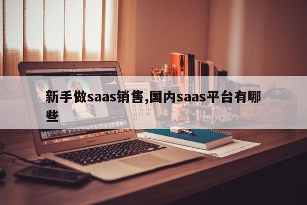 新手做saas销售,国内saas平台有哪些-第1张图片