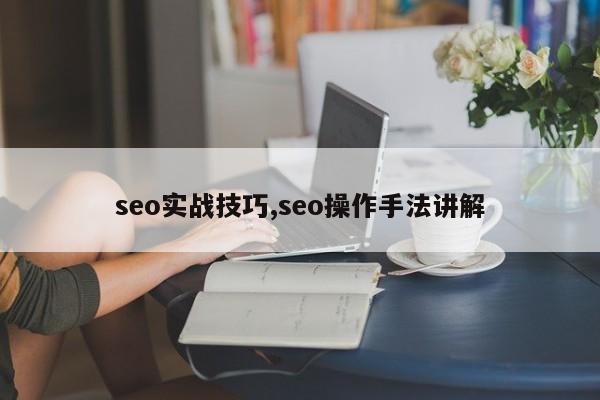 seo实战技巧,seo操作手法讲解-第1张图片