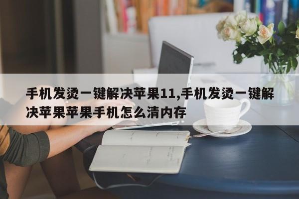 手机发烫一键解决苹果11,手机发烫一键解决苹果苹果手机怎么清内存-第1张图片