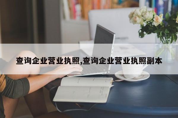 查询企业营业执照,查询企业营业执照副本-第1张图片