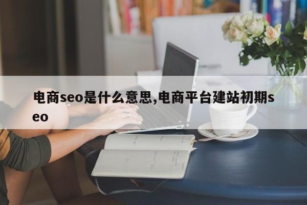 电商seo是什么意思,电商平台建站初期seo-第1张图片