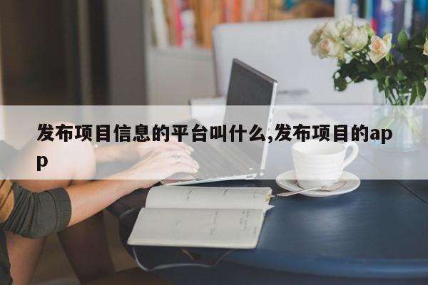 发布项目信息的平台叫什么,发布项目的app-第1张图片