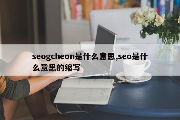 seogcheon是什么意思,seo是什么意思的缩写-第1张图片