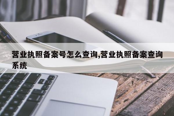 营业执照备案号怎么查询,营业执照备案查询系统-第1张图片