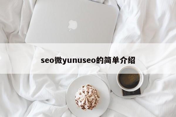 seo微yunuseo的简单介绍-第1张图片