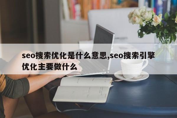 seo搜索优化是什么意思,seo搜索引擎优化主要做什么-第1张图片