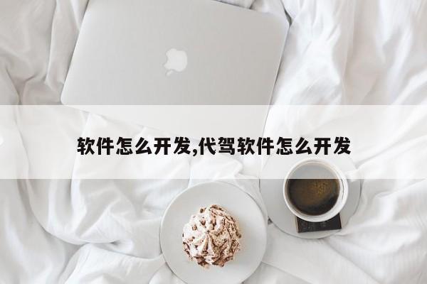 软件怎么开发,代驾软件怎么开发-第1张图片