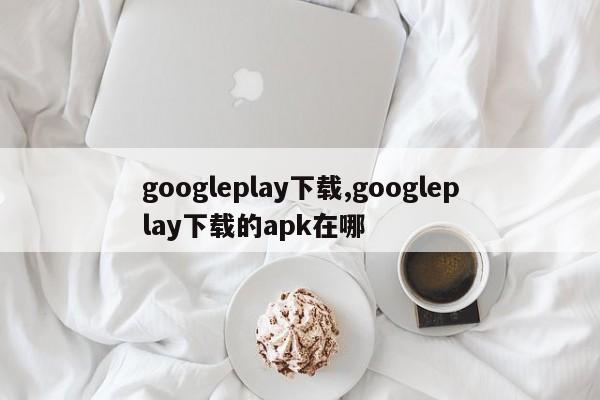 googleplay下载,googleplay下载的apk在哪-第1张图片